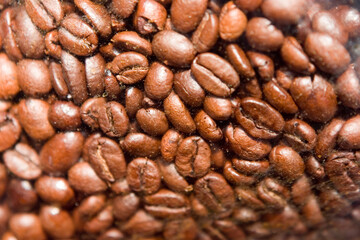 Coffe Beans