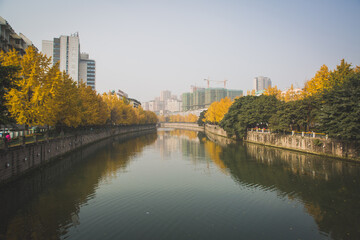 Fototapeta na wymiar autumn lake in the city of Chengdu China