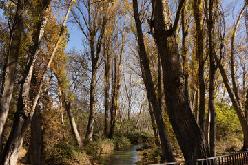 Autumn in country of Spain, river, colors, trees