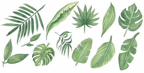 Watercolor Tropical Leaves Clipart, Safari DIY Elements Set, Jungle Greenery Florals, Palm Leaves, Monstera leaf, wedding clipart, Scrapbooking, exotic floral illustration