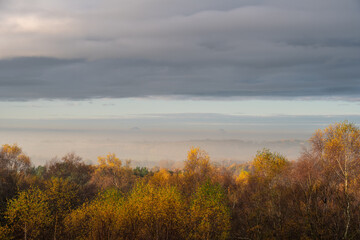 Golden autumnal fall tree and leaf colours at the Downs Banks, Barlaston in Staffordshire.
