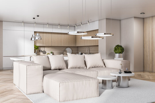 Luxury concrete and wooden kitchen studio interior with daylight, furniture and white couch. Design, home and apartment concept. 3D Rendering.