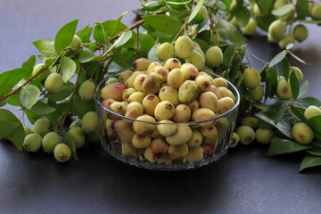 Myrtle berries and myrtle plant on a gray background .