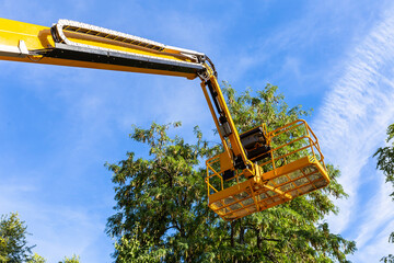 arm of high lift platform on the top of the trees and blue sky. Tree pruning