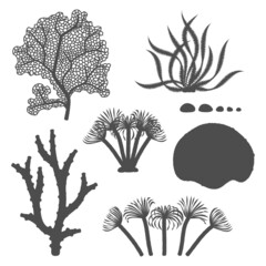 Set of black and white illustrations with corals and algae. Isolated vector objects on a white background.