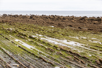 Stone furrows in the Sakoneta beach at low tide. Taken in Sakoneta beach, Basque Country, in July 2021