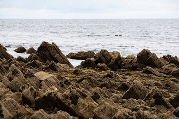 Rocks emerge from the wave-cut platform in the Sakoneta beach, part of the flysch of the Basque Coast Geopark. Taken in Gipuzkoa in July 2021