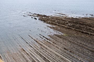 Rock layers in the Sakoneta beach, part of the flysch shore platform of the Basque Coast Geopark. Taken in Gipuzkoa in July 2021