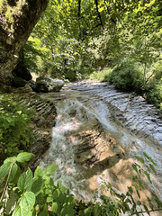 waterfall in the forest