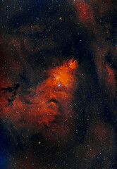  Cone Nebula, The Christmas Tree Cluster, NGC 2264