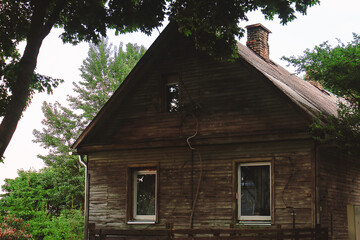 Old wooden house standing under a tree surrounded by greenery