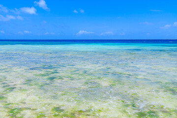 Obraz premium View on Indian ocean at the Zanzibar island