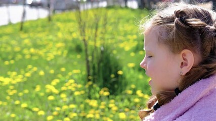 The child sniffs the flower and sneezes. Allergy to bloom. Little girl sniffs a yellow dandelio - Powered by Adobe
