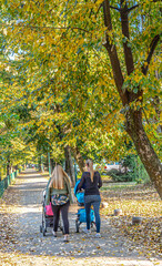 Fototapeta premium Autumn on Vilson's Promenade