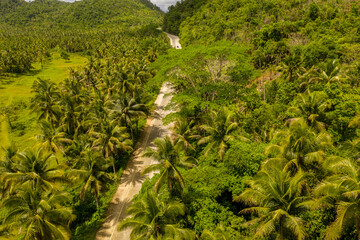 Landscape of green palm trees with road on Siargao Island, Philippines.
