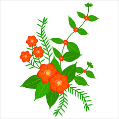 Floral and Herb Elements Decorative Background, Beautiful floral collection with flowers, green leaves, branches,fern leaves, feathers, Vector Oriental motif of flowers