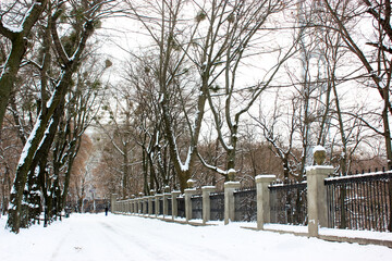 Deserted snowy sidewalk goes into distance in winter park at freezing cold day. Walking path in city park with bare branched trees, black trunks. Stone metal fence along a pathwalk. Wintry landscape.