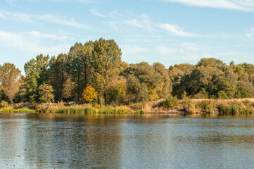 autumn landscape with lake and trees