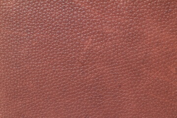 high-quality skin texture