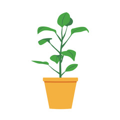 Plant in the pot. Vector illustration for various designs, decoration of stickers, posters, cards.