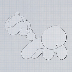 Poodle and master lifestyle