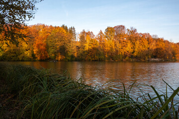 Herbst in der Lausitz- Stausee Sohland/Spree