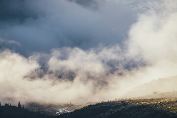Mountain landscape with coniferous trees on rocks silhouettes and sunlit hills with view to high snowy mountain wall in thick low clouds in golden sunshine. Awesome dense low clouds in gold sunlight.