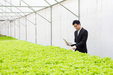 Quality inspector of organic vegetable farm.