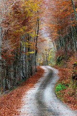 Hoya de Huidobro (Burgos)