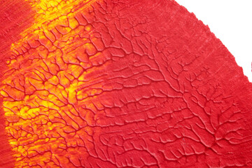 blue purple red yellow abstract acrylic painting color texture on white paper background by using rorschach inkblot method