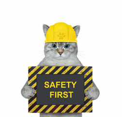 An ashen cat in a construction helmet holds a poster that says safety first. White background. Isolated.
