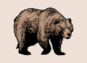 Fototapeta na wymiar Hand Drawn of Walking Brown Bear