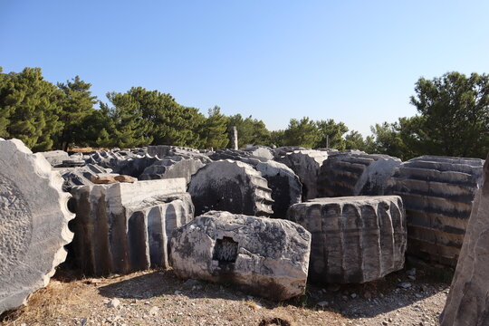 Scenic view with marble column fragments in archaeological site Priene in Turkey