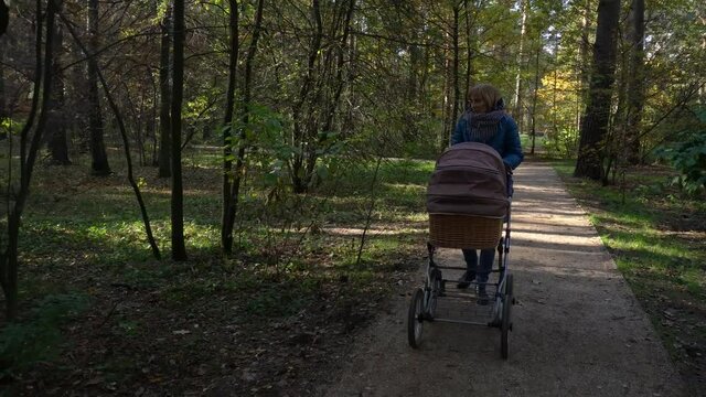 Girl with the baby carriage is walking in an autumn forest park.
