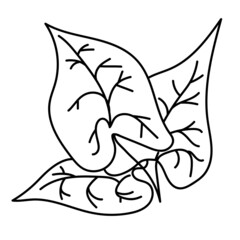  Hand drawn leaves. Doodle vector illustration. Isolated icon on the white background. EPS 10.