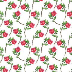 Watercolor Lingonberry seamless pattern on white background. Hand drawing illustration. Perfect for textile or wallpaper.