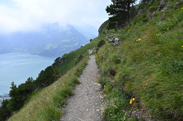 Hiking path around Alps lake