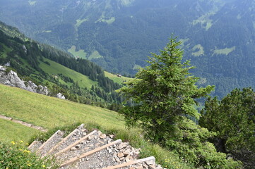 Stairs of Swiss nature