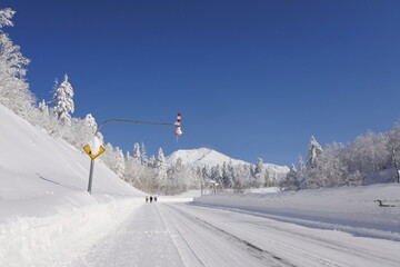 北海道の旭岳の風景