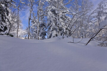 北海道の旭岳の風景