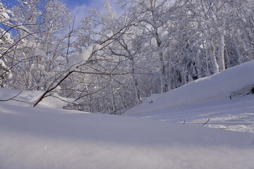 北海道の旭岳の風景