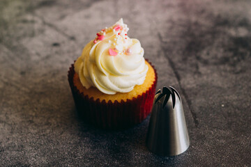 Delicious cupcakes. Cupcakes and confectionery attachments for cream. Cupcakes on a concrete table 
