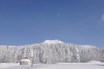 北海道の旭岳の風景