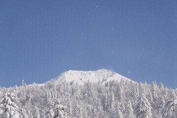 北海道の旭岳の風景