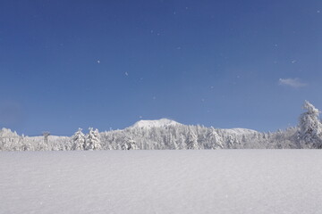 北海道の旭岳の風景