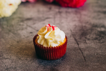 Delicious cupcakes. Cupcakes on a concrete table