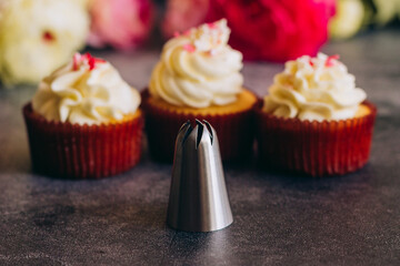 Delicious cupcakes. Cupcakes and confectionery attachments for cream. Cupcakes on a concrete table 