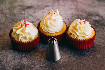 Delicious cupcakes. Cupcakes and confectionery attachments for cream. Cupcakes on a concrete table 
