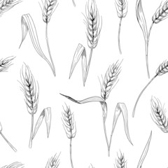 Wheat, cereals, spikelets. Seamless pattern. Vector background design