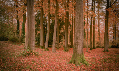 Obraz premium Beautiful view of Enghien park